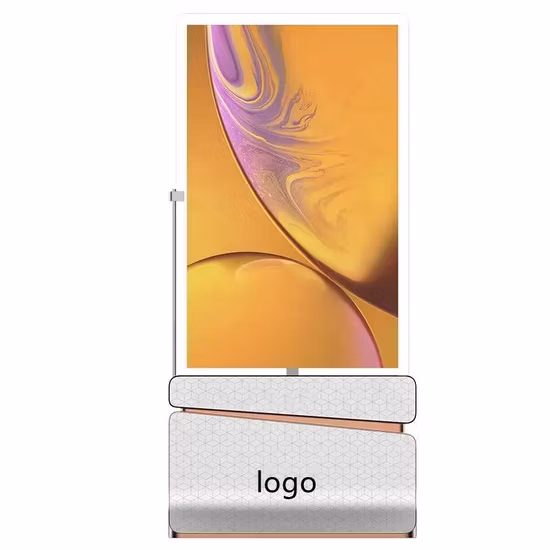Double Transparent Display LCD Display Video 43 Inch Floor Standing Double Sided Transparent LCD Screen