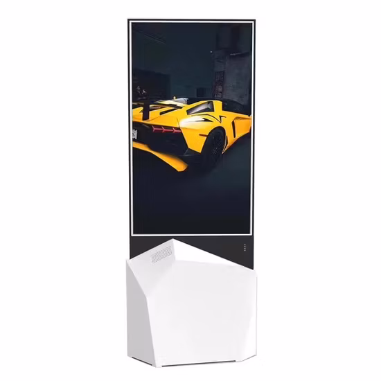 Double Transparent Display LCD Display Video 43 Inch Floor Standing Double Sided Transparent LCD Screen